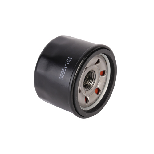 Фильтр масляный для генераторов купить в Москве с доставкой по всей России | ProtosMarket.ru