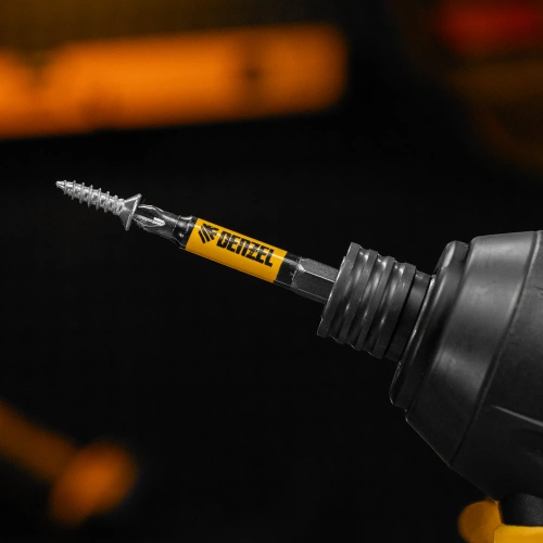 Бита PH2х60, сталь S2, цилиндр., 10 шт. Е 6,3 Denzel купить в Москве с доставкой по всей России | ProtosMarket.ru