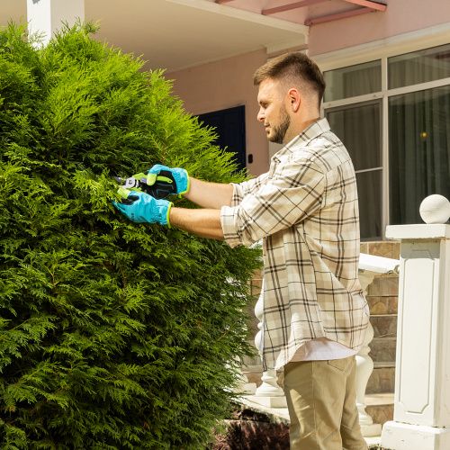 Секатор прямого реза, 190 мм, пластиковые рукоятки Palisad купить в Москве с доставкой по всей России | ProtosMarket.ru