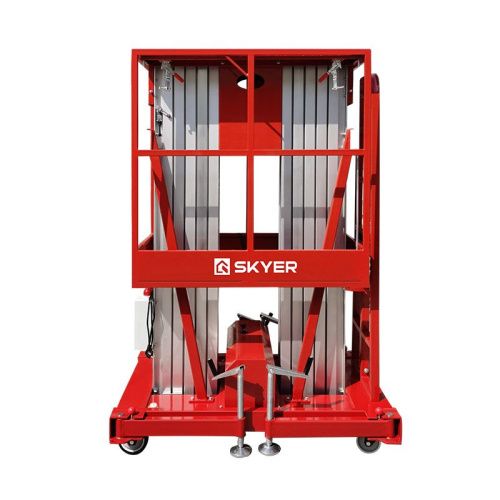 Двухмачтовый подъемник SKYER GTWY12-200 AC/DC купить в Москве с доставкой по всей России | ProtosMarket.ru