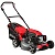 Газонокосилка бензиновая EVOline LMG 46 CP купить в Москве с доставкой по всей России | ProtosMarket.ru