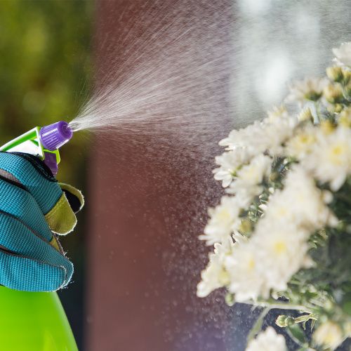 Опрыскиватель ручной, 1.25 л, с пульверизатором Palisad купить в Москве с доставкой по всей России | ProtosMarket.ru