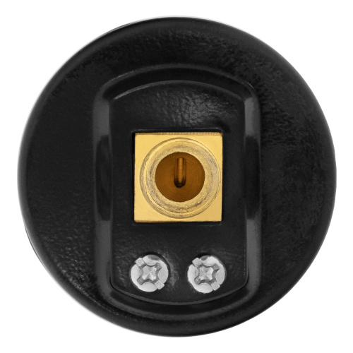 Воздушный манометр G10, 40 мм, 1/8" Denzel купить в Москве с доставкой по всей России | ProtosMarket.ru