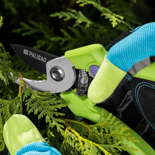 Секатор прямого реза, 190 мм, пластиковые рукоятки Palisad купить в Москве с доставкой по всей России | ProtosMarket.ru