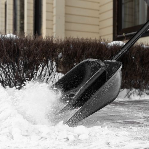 Лопата для уборки снега пластиковая Profi, 550 х 415 х 1405 мм, алюминиевый черенок, Palisad купить в Москве с доставкой по всей России | ProtosMarket.ru