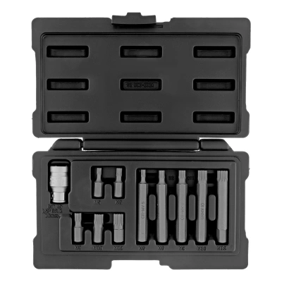 Набор бит SPLINE, шестигранный хвостовик 1/2'', CrV, 10 мм, 11 предметов Stels купить в Москве с доставкой по всей России | ProtosMarket.ru