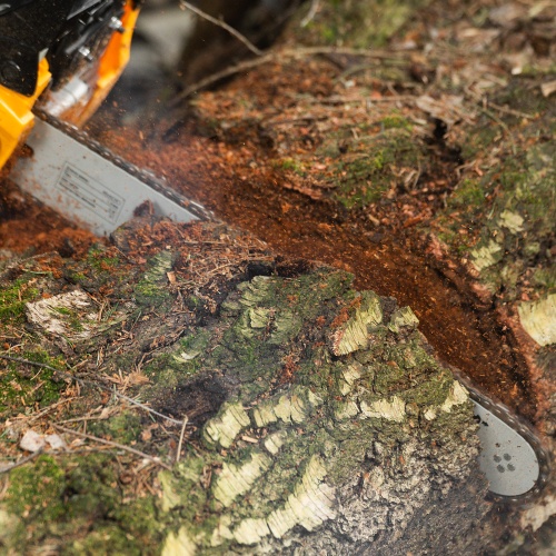 Пила цепная бензиновая DGS-4516, шина 40 см, 45 см3, 3 л.с, шаг 3/8, паз 1.3 мм, 57 звеньев Denzel купить в Москве с доставкой по всей России | ProtosMarket.ru