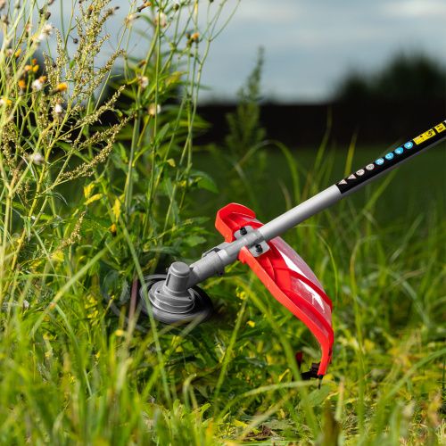 Триммер бензиновый MT-43S, 43 см³, разъемная штанга, состоит из 2 частей MTX купить в Москве с доставкой по всей России | ProtosMarket.ru