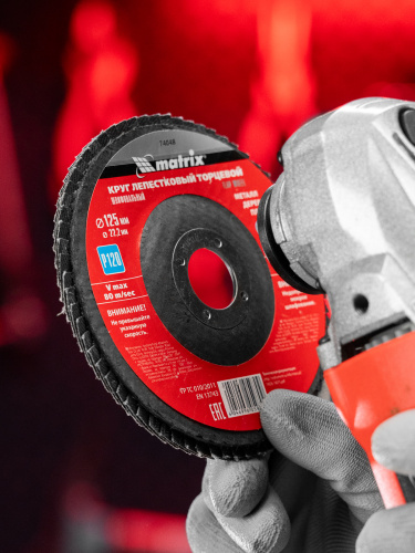 Круг лепестковый торцевой, P 120, 125 х 22.2 мм Matrix купить в Москве с доставкой по всей России | ProtosMarket.ru