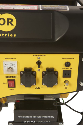 Генератор бензиновый 2,0 кВт 220В 15л с электростартером TOR TR2500E* купить в Москве с доставкой по всей России | ProtosMarket.ru