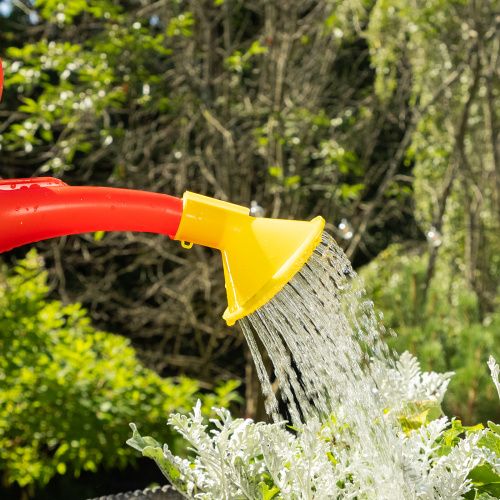 Лейка садовая, 5 л, пластмассовая СИБРТЕХ купить в Москве с доставкой по всей России | ProtosMarket.ru