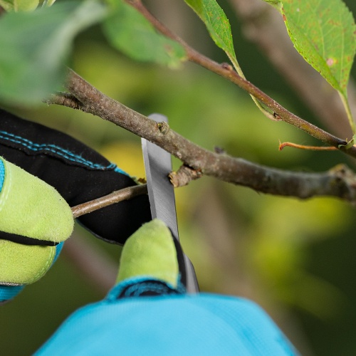 Нож садовый складной, прямое лезвие, 173 мм, деревянная рукоятка, Palisad купить в Москве с доставкой по всей России | ProtosMarket.ru