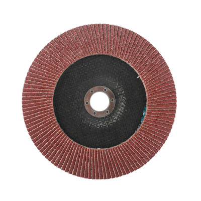 Круг лепестковый торцевой Edge 180мм*22,23мм*P80 купить в Москве с доставкой по всей России | ProtosMarket.ru