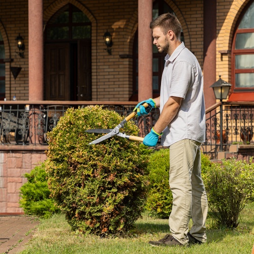 Кусторез, 520 мм, волнистые лезвия, деревянные рукоятки, Palisad купить в Москве с доставкой по всей России | ProtosMarket.ru