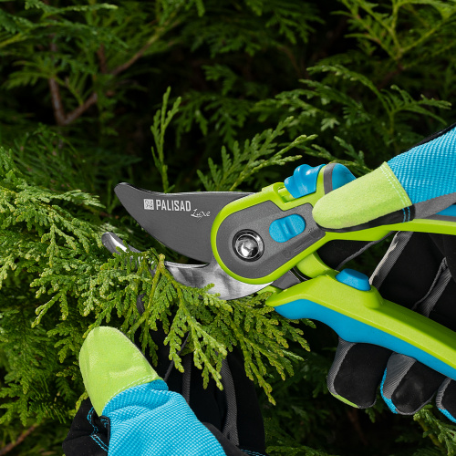 Секатор прямого реза, 225 мм, регулировка захвата, трехкомпонентные рукоятки, Luxe, Palisad купить в Москве с доставкой по всей России | ProtosMarket.ru
