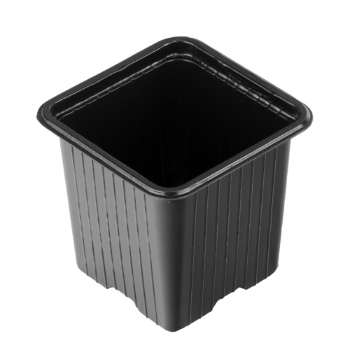 Горшочек для рассады, 70 х 70 х 65 мм, полистирол, 5 шт, купить в Москве с доставкой по всей России | ProtosMarket.ru