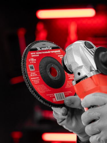 Круг лепестковый торцевой, P 60, 150 х 22.2 мм Matrix купить в Москве с доставкой по всей России | ProtosMarket.ru