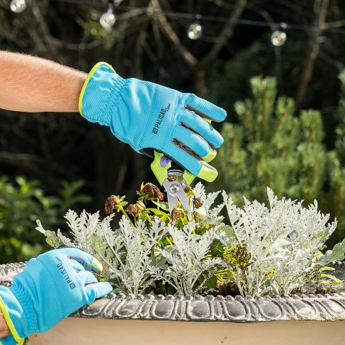 Секатор цветочный, 190 мм, пластиковые рукоятки Palisad купить в Москве с доставкой по всей России | ProtosMarket.ru