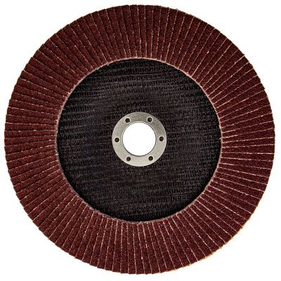 Круг лепестковый торцевой КЛТ-1, зернистость Р 40, 180 х 22.2 мм купить в Москве с доставкой по всей России | ProtosMarket.ru