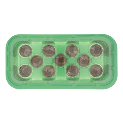 Мини-парник с крышкой, с торфяными таблетками, 240х125х50 мм, 11 ячеек, полистирол купить в Москве с доставкой по всей России | ProtosMarket.ru