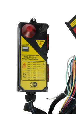 Комплект радиоуправления TOR F21-2D (380В, 2 кнопки, двухскоростной) купить в Москве с доставкой по всей России | ProtosMarket.ru