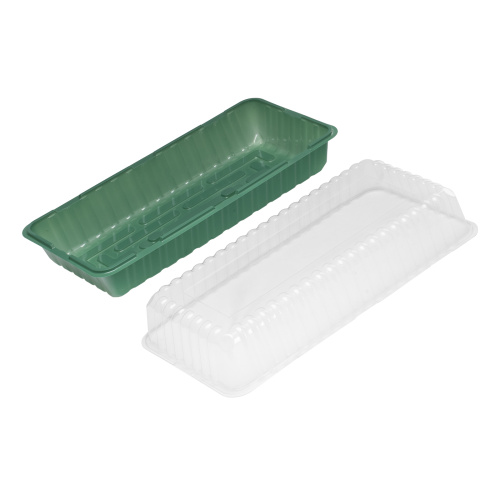 Мини - парник с крышкой, 435 х 215 х 130 мм, для 3 кассет 180 х 135 х 60 мм, полистирол, купить в Москве с доставкой по всей России | ProtosMarket.ru
