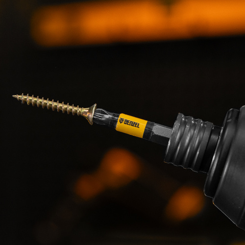 Набор бит комбинированный 3 шт., PZ1, PZ2, PZ3, 50 мм, сталь S2 Denzel купить в Москве с доставкой по всей России | ProtosMarket.ru