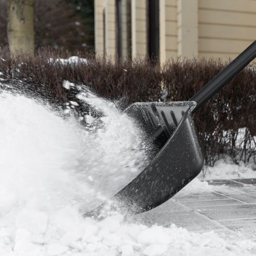 Лопата для уборки снега, полипропилен, 535х375х1400, стальной черенок, BASE Palisad купить в Москве с доставкой по всей России | ProtosMarket.ru