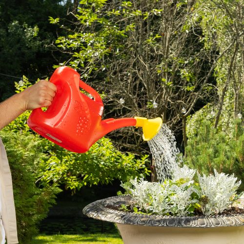 Лейка садовая, 5 л, пластмассовая СИБРТЕХ купить в Москве с доставкой по всей России | ProtosMarket.ru