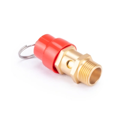 Предохранительный клапан с внешней резьбой 3/8 AERO купить в Москве с доставкой по всей России | ProtosMarket.ru