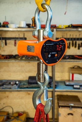 Весы электронные крановые TOR OCS-THE 15T (X) купить в Москве с доставкой по всей России | ProtosMarket.ru