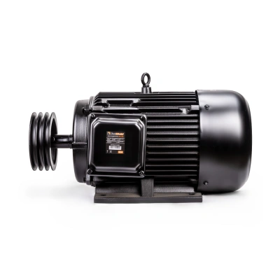 Электродвигатель в сборе AEROMAX EM-1650 (400В / 15кВт) купить в Москве с доставкой по всей России | ProtosMarket.ru