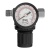 Регулятор давления с манометром R1500, 12 бар, 1/4" Denzel купить в Москве с доставкой по всей России | ProtosMarket.ru